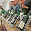 奧地利在地特色活動— 一個手環 酒莊任選，瓦豪河谷酒之春品酒節 Wachau Weinfrühling
